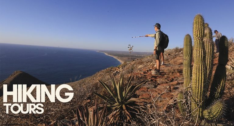HIKING TOURS