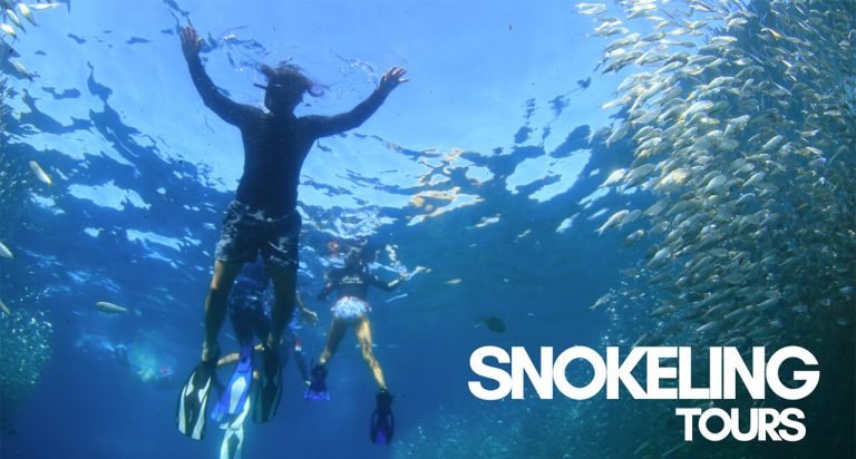 SNORKELING TOURS